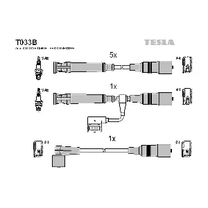T033B TESLA