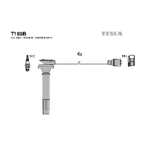 T180B TESLA