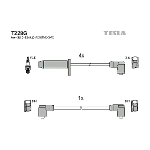 T228G TESLA