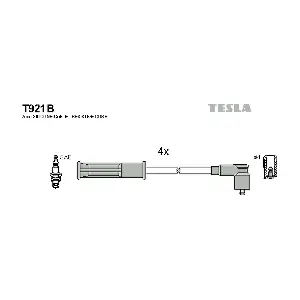 TESLA T921B