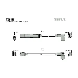 T291B TESLA
