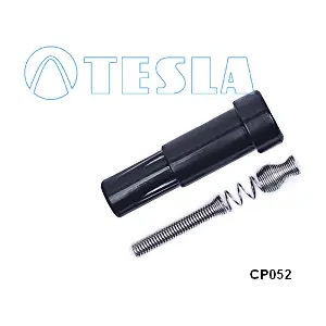CP052 TESLA