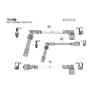 T870B TESLA