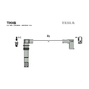 T004B TESLA