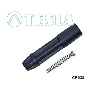CP038 TESLA