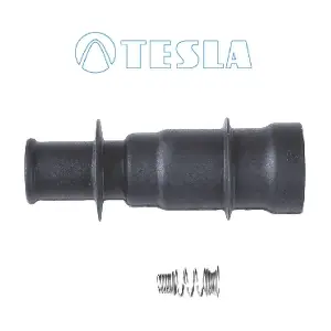 CP075 TESLA