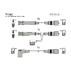 T174C TESLA
