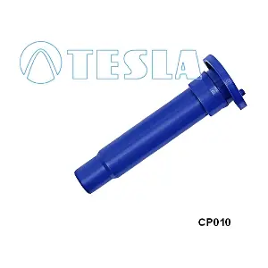 CP010 TESLA