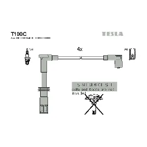 TESLA T100C