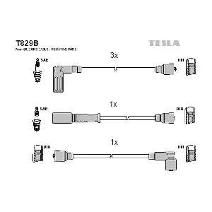 TESLA T829B