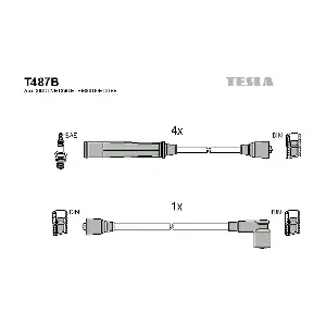 T487B TESLA