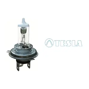 B50402 TESLA