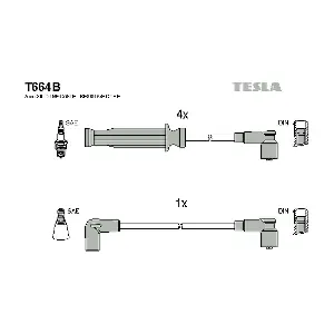 T664B TESLA