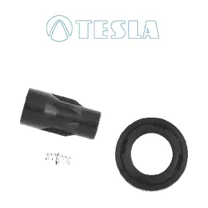 CP095 TESLA