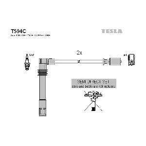 T594C TESLA