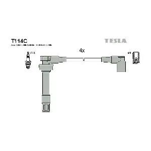 T 114 C TESLA