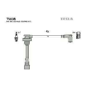T503B TESLA