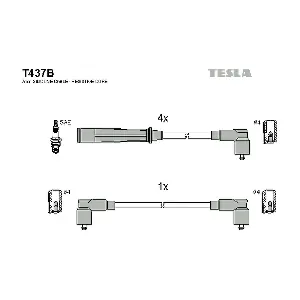 TESLA T437B