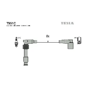 T 951 C TESLA