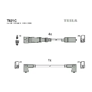 TESLA T821C