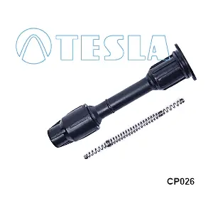 CP026 TESLA
