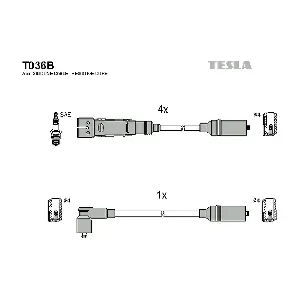T036B TESLA