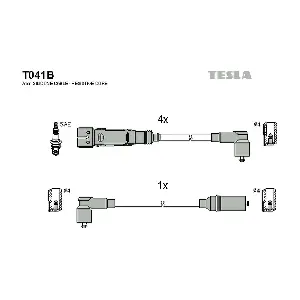 T041B TESLA