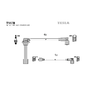 T507B TESLA
