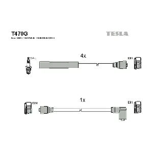 TESLA T470G