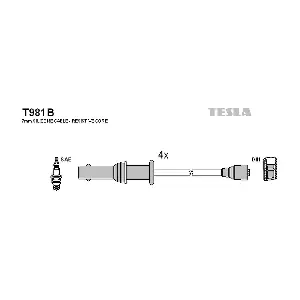 T981B TESLA