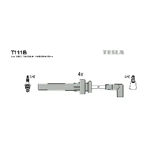 T111B TESLA