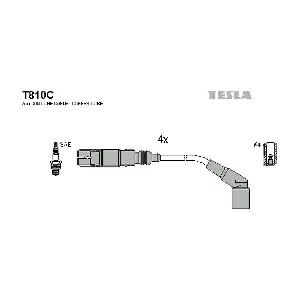 TESLA T 810 C