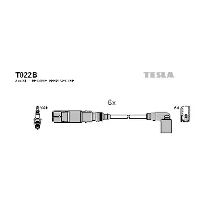 T022B TESLA