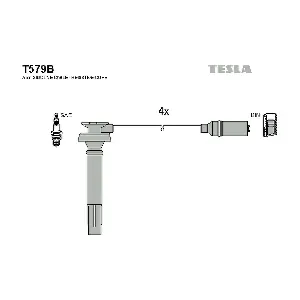 TESLA T579B