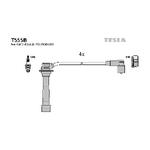 T555B TESLA