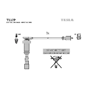 T537P TESLA