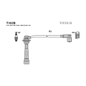 T302B TESLA