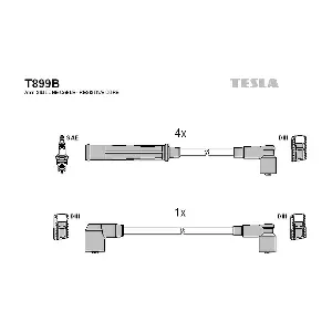 TESLA T899B
