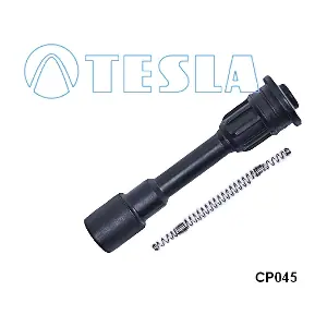 CP045 TESLA