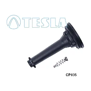 CP035 TESLA