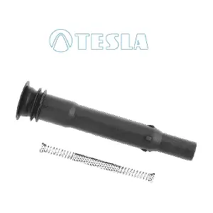 CP091 TESLA