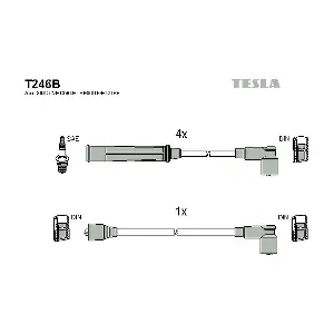TESLA T246B