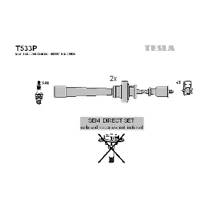 T533P TESLA