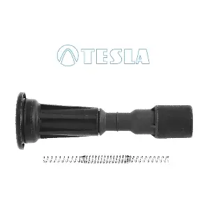 CP085 TESLA