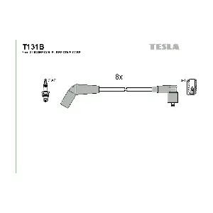 T 131 B TESLA