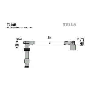 T989B TESLA