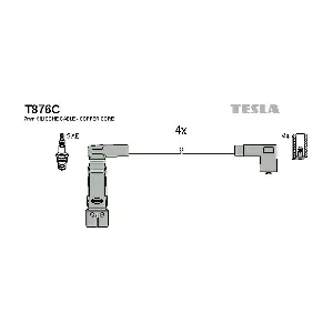 T876C TESLA