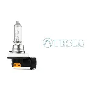 B30801 TESLA