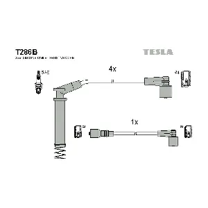 T286B TESLA