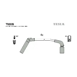 T888B TESLA
